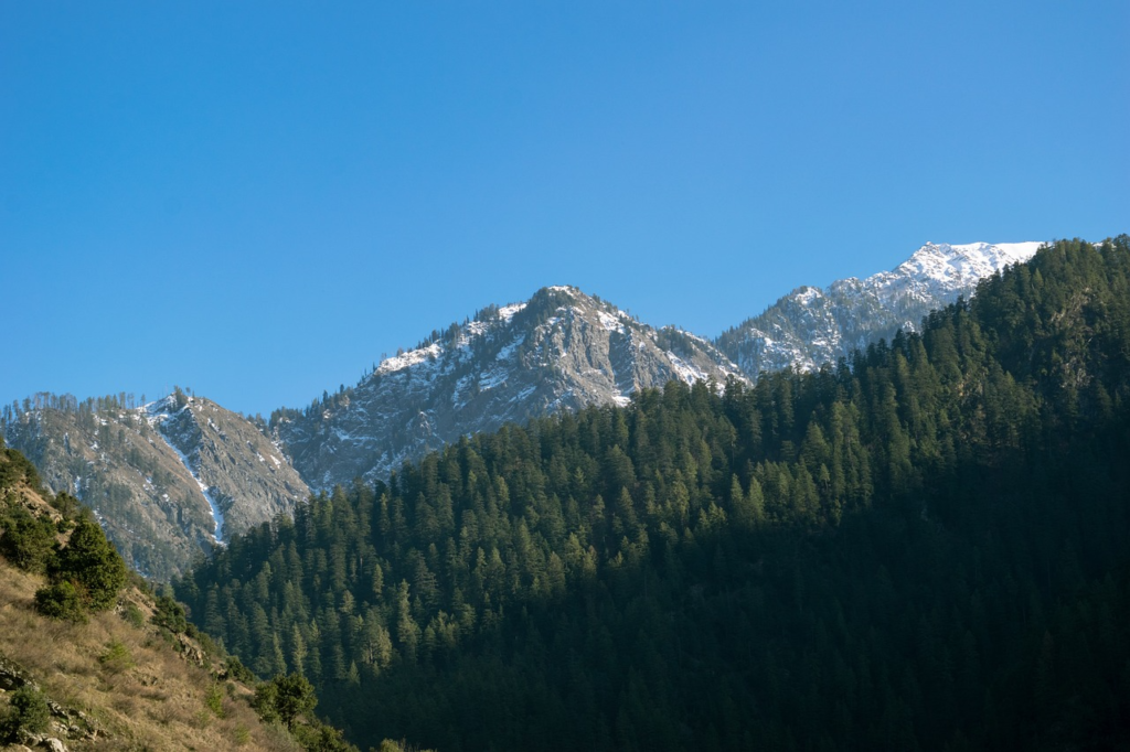 kashmir 