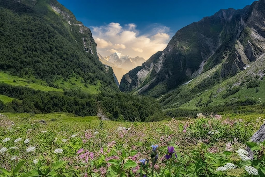  Valley of Flowers – Nature's Most Colourful Paradise